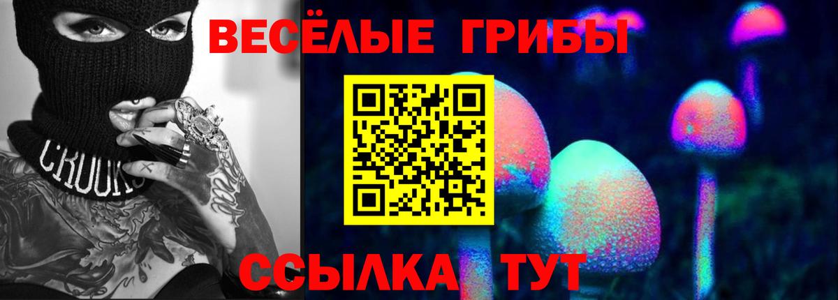 Псилоцибиновые грибы прущие грибы  Вход с VPN  Кисловодск 